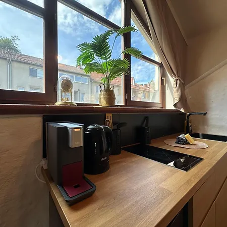 Honor-penthouse Apartment *