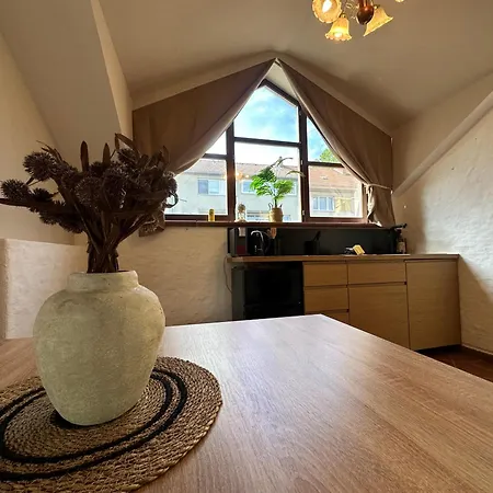 Honor-penthouse Apartment