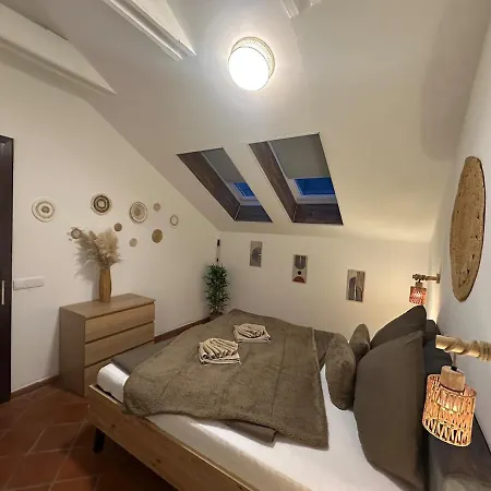 Honor-penthouse Apartment